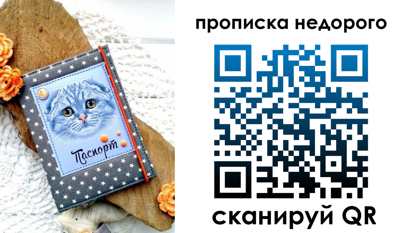 временная регистрация надежно в Челябинской области